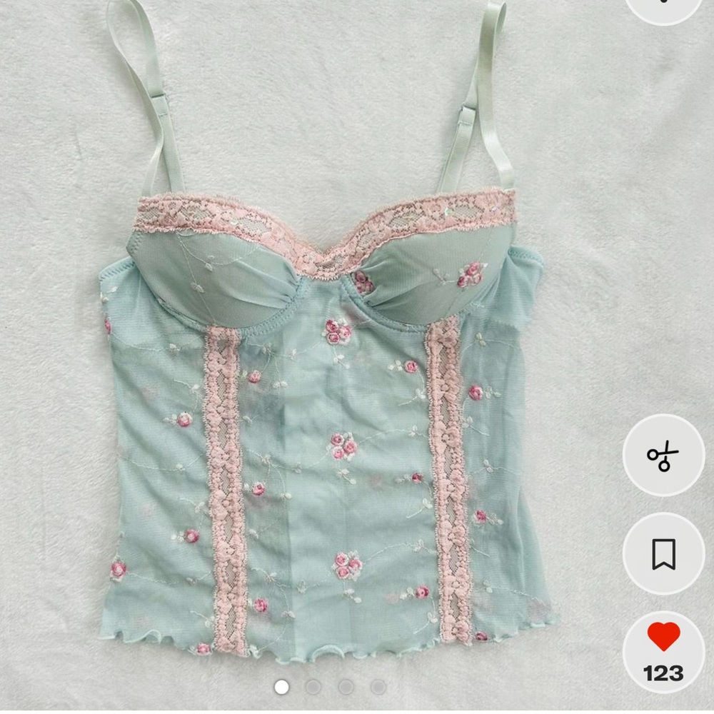 Victoria's Secret Mint and Pink Lace Corset